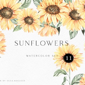 Clipart tournesol aquarelle, tournesol bohème png pour faire-part de mariage, clipart éléments tournesol pour mariage, baby shower 023