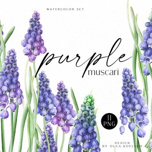 Clipart floral printanier aquarelle, clipart botanique fleurs violettes Muscari pour mariage, Pâques, fête des mères, scrapbooking numérique