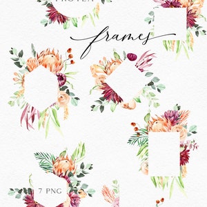 Pu&ograve; includere: Sette cornici floreali ad acquerello con fiori di protea in tonalit&agrave; rosa, arancio e bordeaux. Le cornici sono di varie forme, tra cui cerchi, esagoni e quadrati. Il testo "Exotic Protea Frames" e "7 PNG" &egrave; incluso nell'immagine.