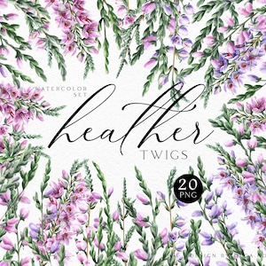 Aquarell Heidekraut Clipart, Lavendel und Heidekraut Clip Art, rosa Blumen modernes Clipart 038