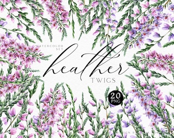 Watercolor heather clipart, Pink flowers modern clipart, Lavender and heather clip art for boho wedding invitations 038