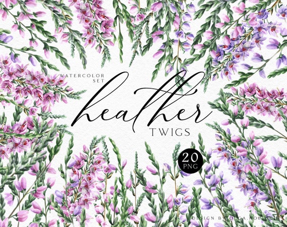 Watercolor heather clipart, Pink flowers modern clipart, Lavender and heather clip art for boho wedding invitations 038
