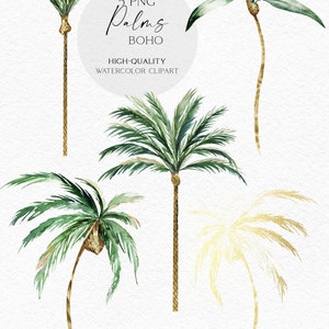May include: Five watercolor illustrations of palm trees in various styles. The trees are green and gold with a white background. The text "5 PNG Palms BOHO HIGH-QUALITY WATERCOLOR CLIPART OLGA.KOELSCH" is at the bottom of the image.