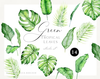 Watercolor Tropical Leaf Clipart, Greenery Design (PDF)