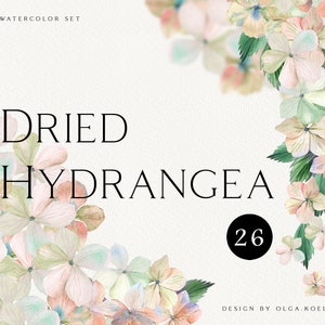 Clipart hortensia aquarelle. Clipart fleurs séchées bohèmes, fleur d'hortensia beige png, cadres floraux séchés, couronne boho png 029