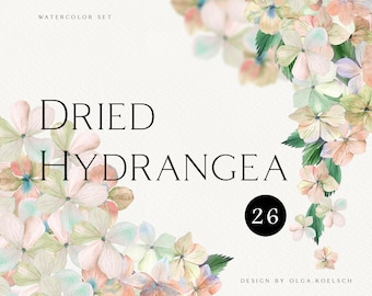 Akvarell hortensia clipart. Boho torkade blommor clipart, Beige hortensiablomma png, Torkade blomramar, boho krans png 029