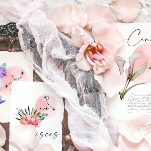 May include: Two watercolor illustrations of zodiac signs, Cancer and Pisces, with floral accents. The illustrations are on white paper with pink watercolor backgrounds. The text "Cancer" and "Pisces" is written in black ink.