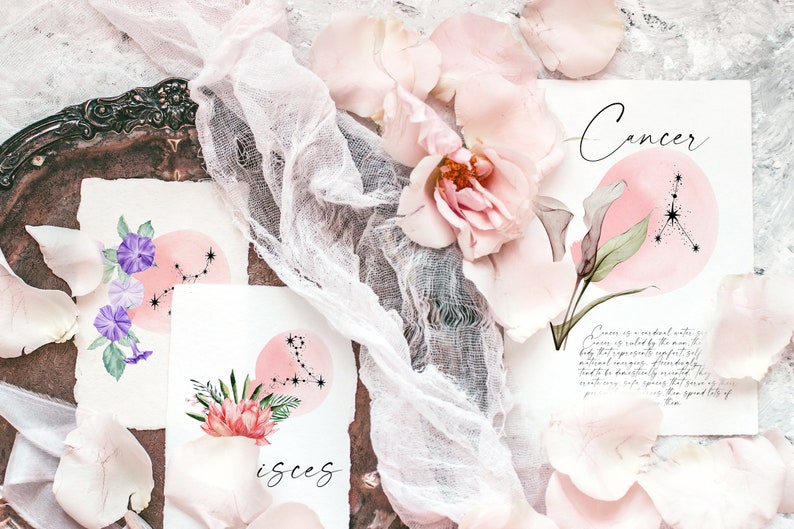 May include: Two watercolor illustrations of zodiac signs, Cancer and Pisces, with floral accents. The illustrations are on white paper with pink watercolor backgrounds. The text "Cancer" and "Pisces" is written in black ink.
