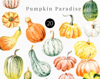 Watercolor pumpkin clipart, Harvest Thanksgiving clipart, Hand-painted farmhouse png 055