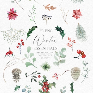 Watercolor winter greenery clipart, Christmas eucalyptus, poinsettia clipart,  holly berry, mistletoe, pine tree png, winter floral 136