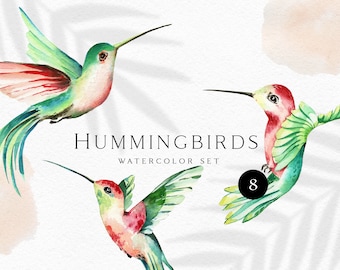 Clipart de colibrí de acuarela, conjunto PNG tropical