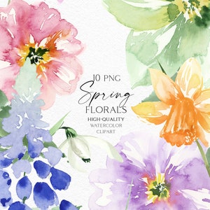 Aquarel lentebloem clipart, maart geboorte bloem narcis png, stoffige roze botanische clipart voor uitnodiging, babyshower, logo 140