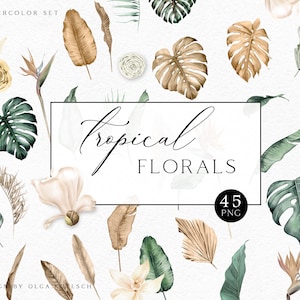 Clipart tropical floral. Fleurs tropicales bohèmes. Aquarelle de feuilles de palmier séchées, clipart de verdure de feuilles de jungle 012