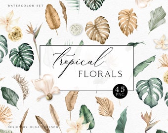 Floral tropical clipart. Boho tropical flowers. Dried palm watercolor leaves, Jungle leaves greenery clipart 012
