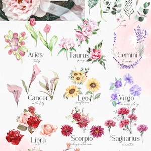 May include: Watercolor illustrations of flowers representing each zodiac sign. The signs are Aries, Taurus, Gemini, Cancer, Leo, Virgo, Libra, Scorpio, Sagittarius, Capricorn, Aquarius, and Pisces. The flowers are tulip, peony, lavender, calla lily, sunflower, morning glory, rose, chrysanthemum, carnation, pansy, bird of paradise, and lotus.