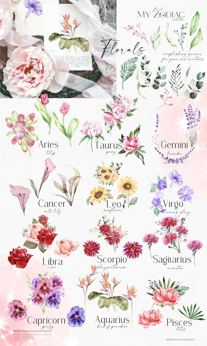 May include: Watercolor illustrations of flowers representing each zodiac sign. The signs are Aries, Taurus, Gemini, Cancer, Leo, Virgo, Libra, Scorpio, Sagittarius, Capricorn, Aquarius, and Pisces. The flowers are tulip, peony, lavender, calla lily, sunflower, morning glory, rose, chrysanthemum, carnation, pansy, bird of paradise, and lotus.