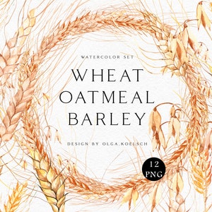May include: Watercolor illustration set of wheat, oatmeal, and barley. The set includes 12 PNG files. The illustration is in a light brown color.