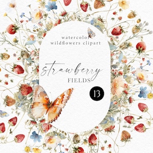 Clipart fraise de prairie d'aquarelle, bouquets de fleurs de prairie de png de papillon floral, frontières florales de prairie pour l'invitation de mariage