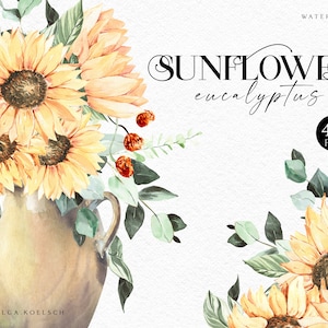 May include: Watercolor illustration set of sunflowers and eucalyptus leaves. The set includes 49 PNG files. The sunflowers are yellow with brown centers and the eucalyptus leaves are green. The text "SUNFLOWER eucalyptus" is written in black.