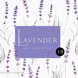 Watercolor lavender clipart, Boho floral elements, Dusty purple floral png for wedding invitations, baby shower, floral logo 004