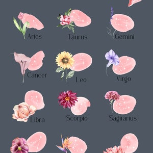 May include: Watercolor illustrations of the 12 zodiac signs with floral elements. Each sign is depicted with a pink background and a constellation of stars. The signs are: Aries, Taurus, Gemini, Cancer, Leo, Virgo, Libra, Scorpio, Sagittarius, Capricorn, Aquarius, and Pisces.