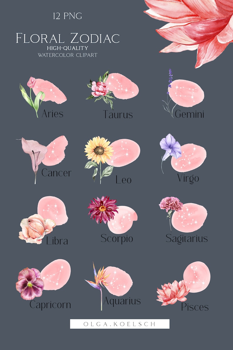 May include: Watercolor illustrations of the 12 zodiac signs with floral elements. Each sign is depicted with a pink background and a constellation of stars. The signs are: Aries, Taurus, Gemini, Cancer, Leo, Virgo, Libra, Scorpio, Sagittarius, Capricorn, Aquarius, and Pisces.