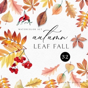 Könnte beinhalten: Aquarell-Set mit Herbstblättern und Beeren in Gelb-, Orange- und Brauntönen. Der Text "Autumn Leaf Fall" wird zusammen mit der Zahl "32" angezeigt. Design von Olga Kolsch.