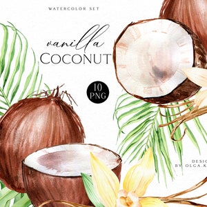Clipart de acuarela de coco, clipart de ramo de acuarela de vainilla, png de coco con hojas de palma para bodas de verano, cosméticos, tarjetas de felicitación