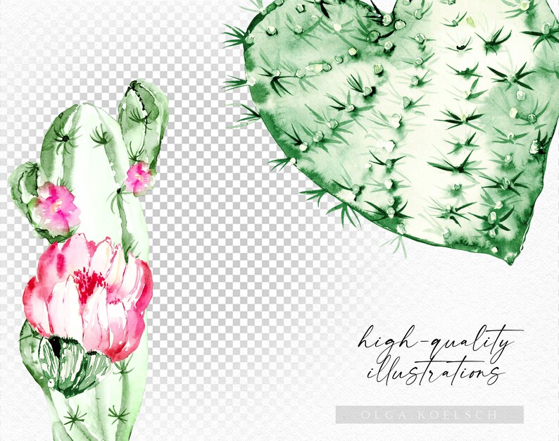 May include: Watercolor illustration of a cactus with pink flowers. The cactus is in the shape of a heart. The illustration is on a white background with a transparent grid.