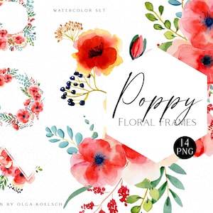 Aquarelle fleurs de pavot clipart, cadres floraux logo coquelicot, bordures boho féminines clipart 018
