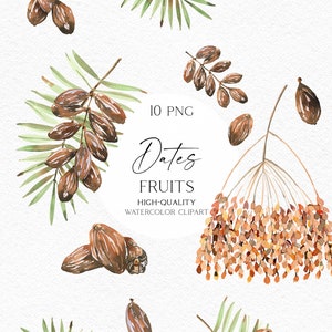 Clipart di frutta ad acquerello, acquerello di frutta di datteri, clipart digitale con png di frutta per Ramadan, menu, logo 067