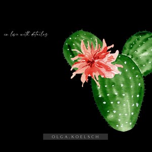 Op de afbeelding: Waterverf schilderij van een groene cactus met een roze bloem. De tekst "in love with details" is geschreven in wit cursief aan de linkerkant van de afbeelding. De tekst "OLGA.KOELSCH" is geschreven in wit cursief aan de rechterkant onderaan de afbeelding.