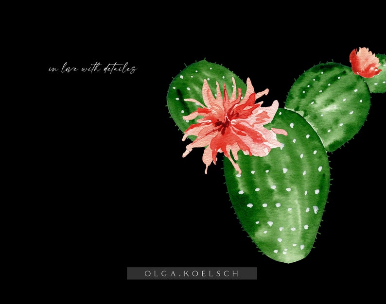 Op de afbeelding: Waterverf schilderij van een groene cactus met een roze bloem. De tekst "in love with details" is geschreven in wit cursief aan de linkerkant van de afbeelding. De tekst "OLGA.KOELSCH" is geschreven in wit cursief aan de rechterkant onderaan de afbeelding.