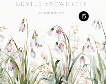 Watercolor spring flowers clipart, white snowdrop flowers for spring wedding, Easter, Mothers Day, greeting cards