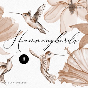 Aquarell Kolibri Clipart. Beige Hibiskus-Clipart mit Kolibri. Handgezeichnete Blumen florales florales Clipart 154