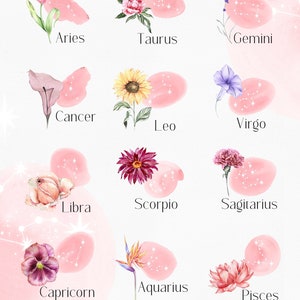 May include: A pink watercolor illustration of the zodiac signs with flowers. Each sign is represented by a flower and a constellation. The signs are Aries, Taurus, Gemini, Cancer, Leo, Virgo, Libra, Scorpio, Sagittarius, Capricorn, Aquarius, and Pisces.