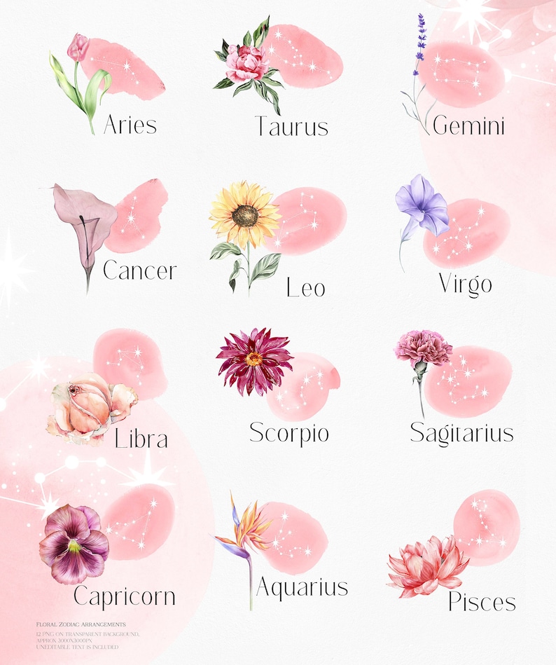 May include: A pink watercolor illustration of the zodiac signs with flowers. Each sign is represented by a flower and a constellation. The signs are Aries, Taurus, Gemini, Cancer, Leo, Virgo, Libra, Scorpio, Sagittarius, Capricorn, Aquarius, and Pisces.