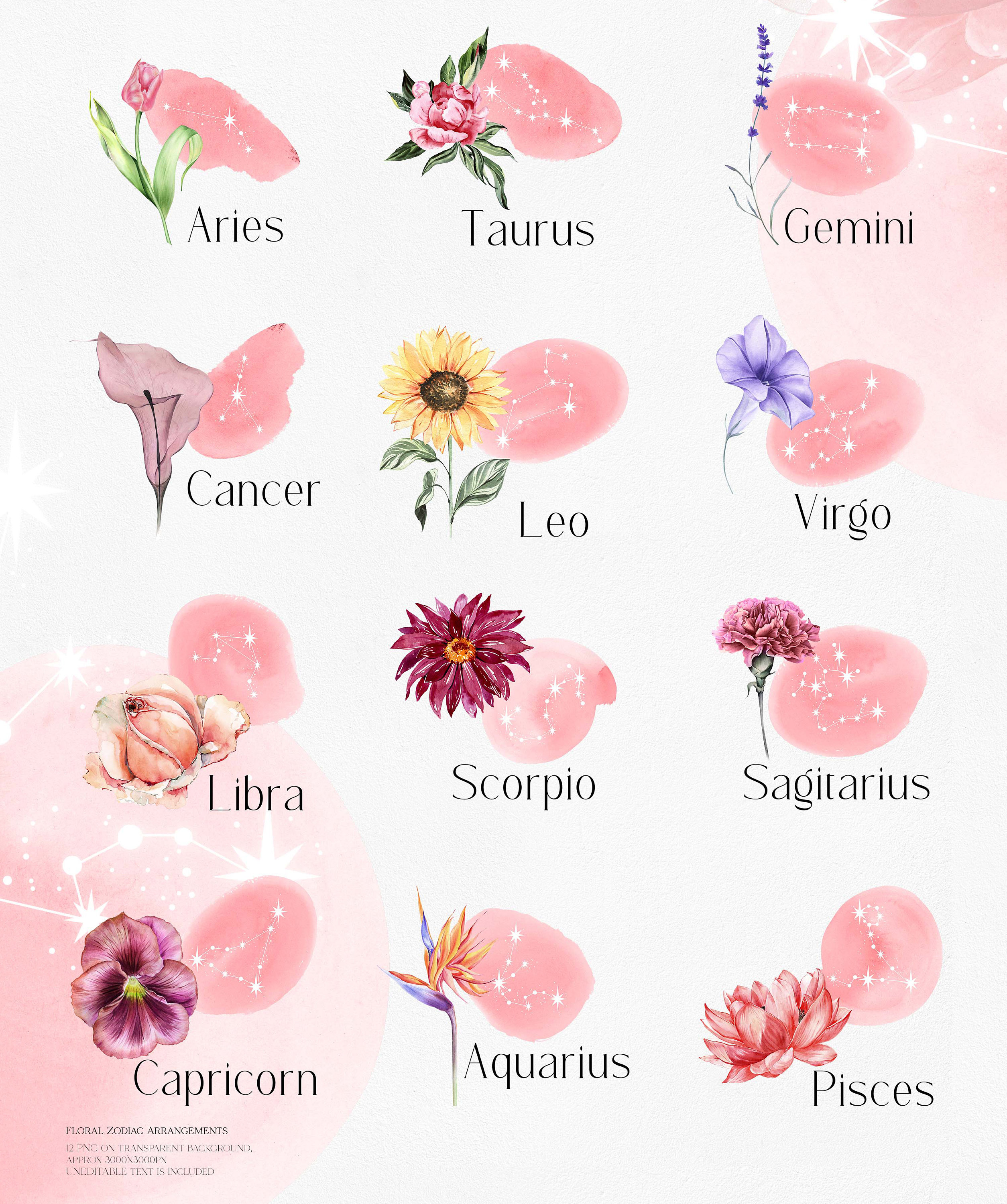 Watercolor floral zodiac clipart Astrology clipart Celestial Etsy