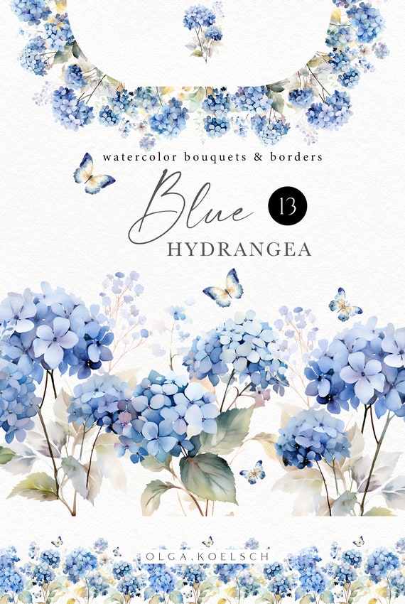 Watercolor hydrangea clipart, Blue floral borders png   for wedding invitation, boy baby shower