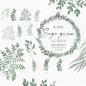 Aquarel groen clipart, salie groene bladeren png, goud en groen blad clipart voor bruiloft uitnodiging, babyshower, sociale media 126