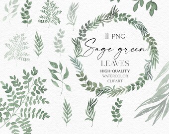 Op de afbeelding: Een set van 11 aquarel illustraties van saliegroene bladeren. De bladeren zijn in verschillende vormen en maten gerangschikt en ze zijn allemaal geschilderd in een zachte, gedempte groene kleur. De illustraties zijn perfect om een vleugje natuur aan je ontwerpen toe te voegen.