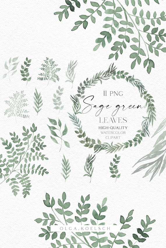 Watercolor Greenery Clipart Sage Green Leaves Png Gold and - Etsy
