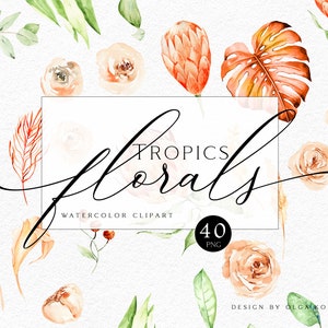 Aquarell tropische Boho Blumen Clipart. Grüner Eukalyptus png. Blush florale Aquarell Rose und Protea 080