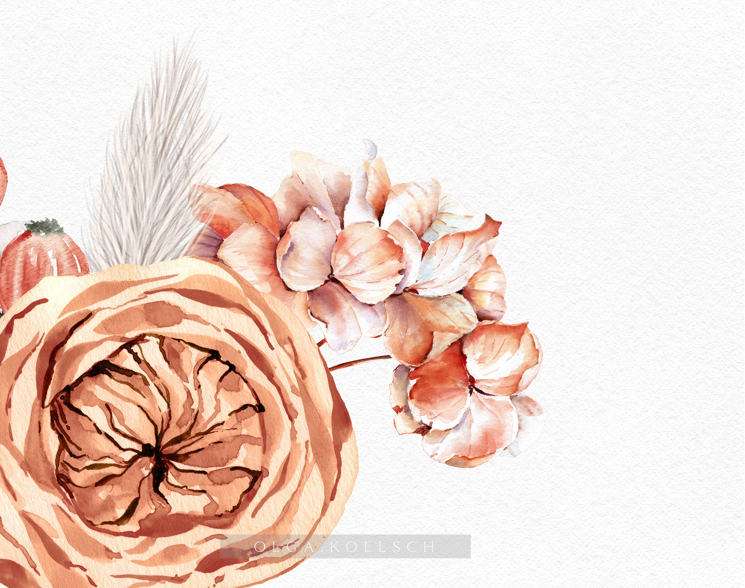 Watercolor Floral Frames Clipart: Pink Peach Roses (PNG, PDF) - Etsy