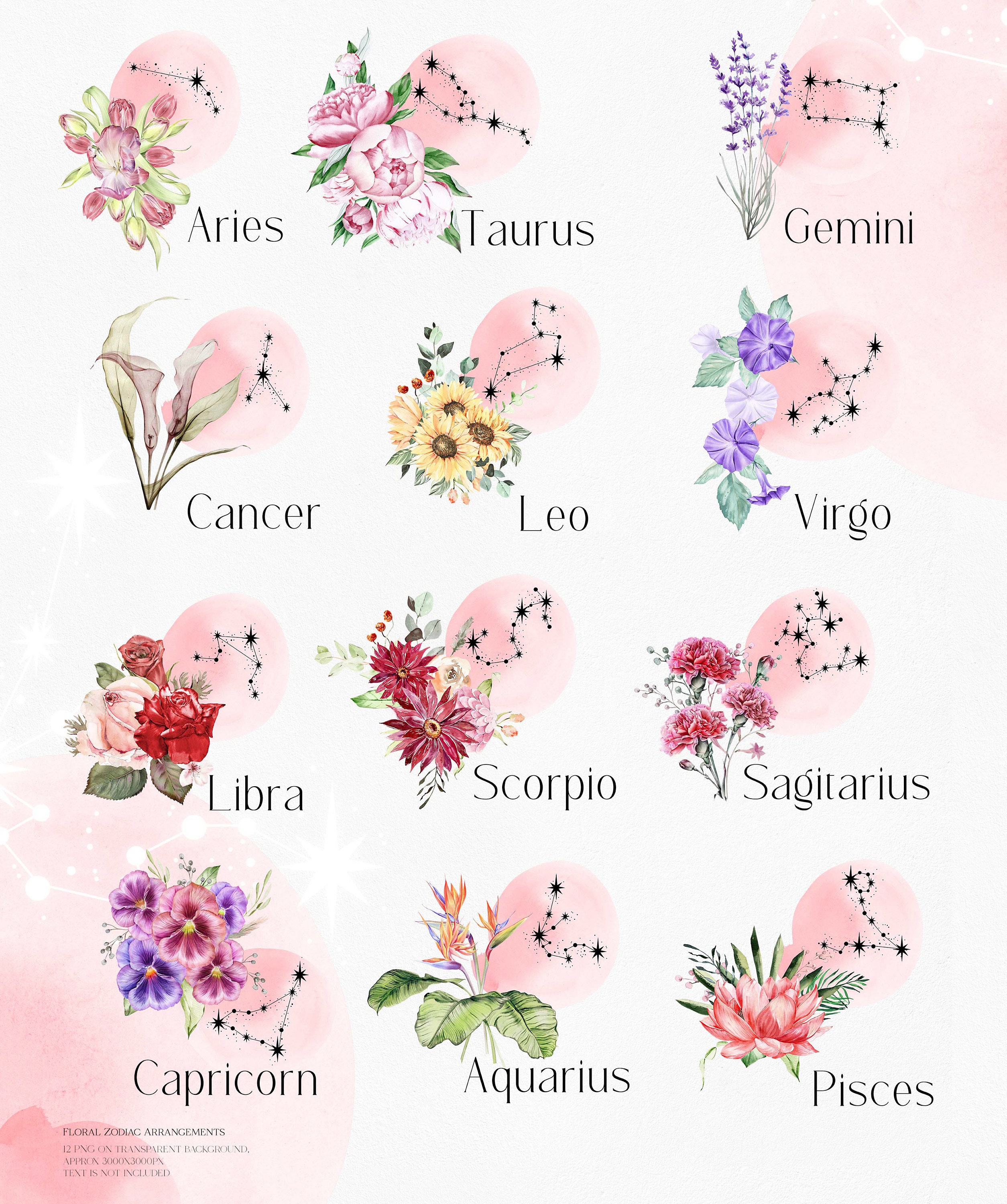 zodiac-flowers-60-photos-astrologytoyou