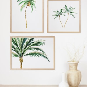 May include: Three framed watercolor paintings of palm trees on a white wall. The paintings are in wooden frames with a natural wood finish. The paintings are arranged in a vertical row, with the largest painting at the top and the smallest painting at the bottom.