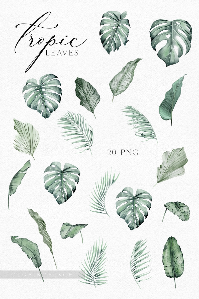 May include: A set of 20 watercolor illustrations of tropical leaves in shades of green. The leaves are isolated on a white background and are perfect for digital scrapbooking, card making, and other creative projects.