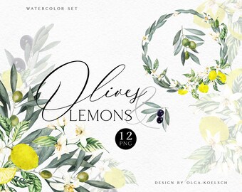 May include: Watercolor illustration set of olives and lemons. The set includes 12 PNG files. The illustration features olive branches with green leaves and black olives, lemon branches with green leaves, yellow lemons, and white flowers. The text "Olives & Lemons" is written in cursive.
