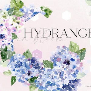 Aquarell Staubblaue Hortensien Cliparts, Staubiges Lila, Violettes, Rahmen png für Hochzeit, Einladung, 031