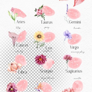 May include: A set of 12 watercolor illustrations of zodiac signs with flowers. Each sign is represented by a different flower, such as a tulip for Aries, a peony for Taurus, and a lavender for Gemini. The illustrations are on a pink background with white stars.